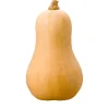 Butternut Squash^Lidl Online