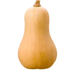Butternut Squash^Lidl Online