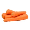 Carrots^Lidl Sale