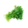 Cilantro^Lidl Outlet