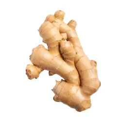 Ginger^Lidl Outlet