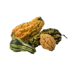 Gourds^Lidl Outlet