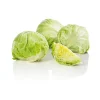 Iceberg Lettuce^Lidl Sale