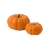Mini Pumpkins^Lidl Online