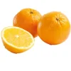 Navel Oranges^Lidl New