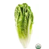 Organic Romaine Hearts, Three^Lidl Clearance