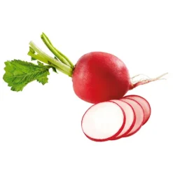Radishes^Lidl Clearance