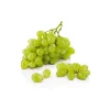 Specialty Grapes^Lidl Sale