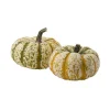 Tiger Stripe Pumpkins^Lidl Best